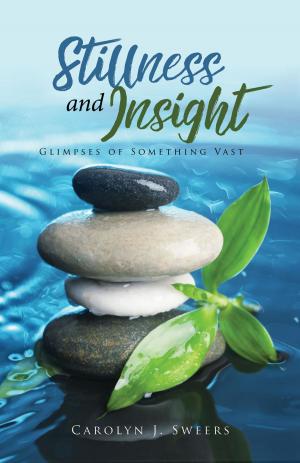 Cover of the book Stillness and Insight by Donald E. Sexauer
