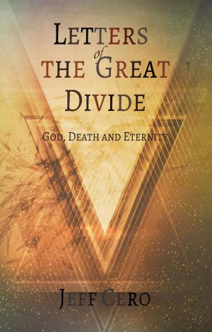 Cover of the book Letters of the Great Divide by LINDA FREENY