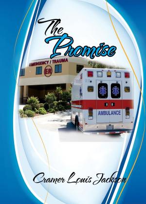 Cover of the book The Promise by Pryam Bann
