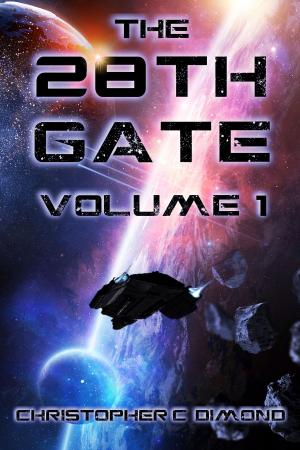 Book cover of The 28th Gate: Volume 1