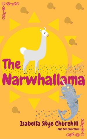Cover of the book The Narwhallama by John Kelly