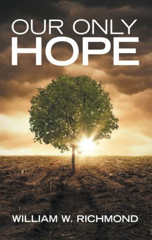 Cover of the book Our Only Hope by Chris Mentch