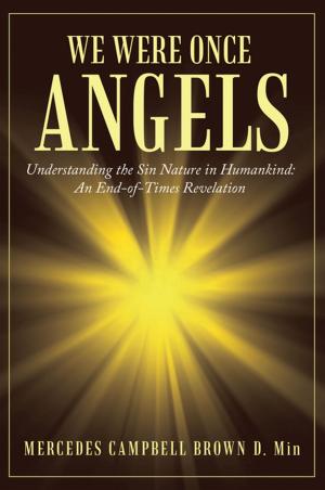 Cover of the book We Were Once Angels by Ed DeVos