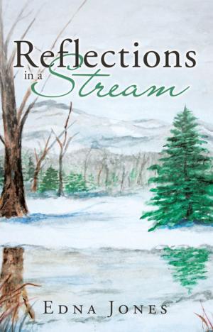 Cover of the book Reflections in a Stream by David E. Plante