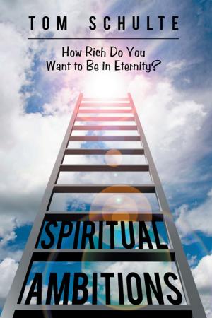 Cover of the book Spiritual Ambitions by Jim Dinsmore