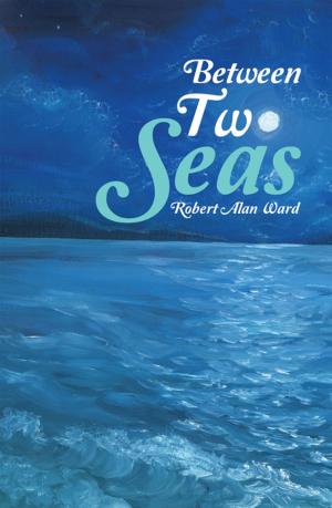 Book cover of Between Two Seas