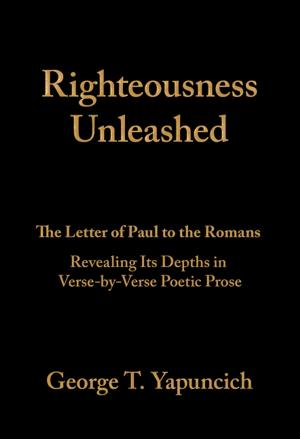 Cover of the book Righteousness Unleashed by Luigi Telloli