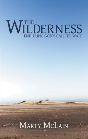 Cover of the book The Wilderness by Vivian Borgeson