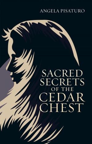 Cover of the book Sacred Secrets of the Cedar Chest by Steve Kagin