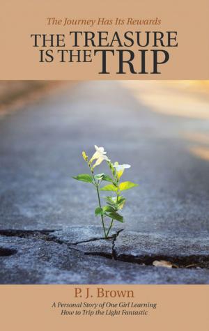 Cover of the book The Treasure Is the Trip by Laura Petherbridge, Gayla Grace, Heather Hetchler