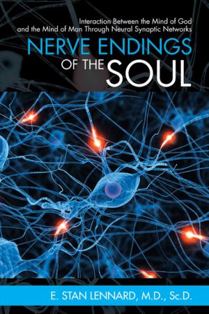 Cover of the book Nerve Endings of the Soul by Jeanette Chaffee
