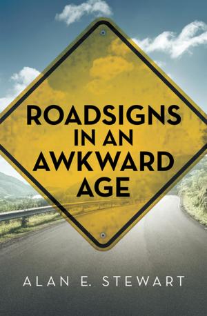 bigCover of the book Roadsigns in an Awkward Age by 