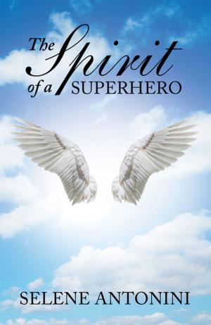 Cover of the book The Spirit of a Superhero by Dr Christine Botchway