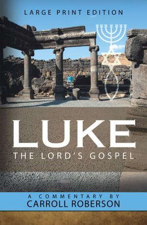 Cover of the book Luke the Lord’S Gospel by B Duche