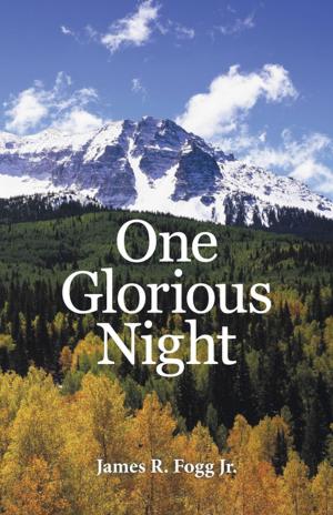 Cover of the book One Glorious Night by Tanya Packer