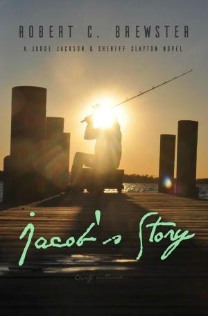 Cover of the book Jacob's Story aka Clarity Continued by Carol Thomas