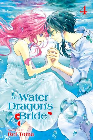 Cover of the book The Water Dragon’s Bride, Vol. 4 by Matsuri Hino
