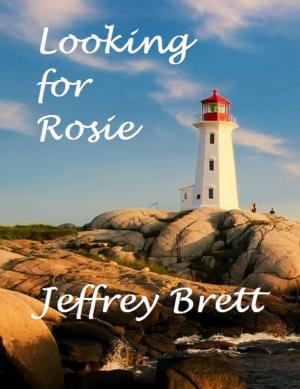 Book cover of Looking for Rosie