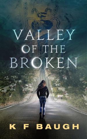 Cover of the book Valley of the Broken by Elizabeth Reyes