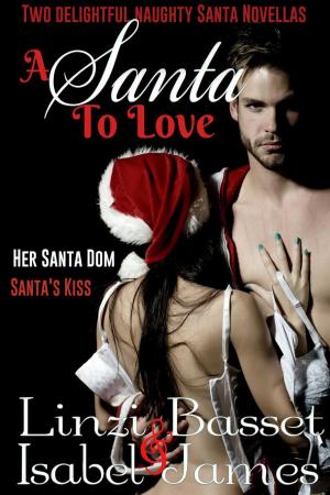 Cover of the book A Santa to Love by Linzi Basset