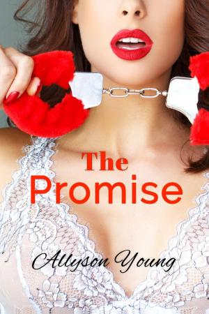Cover of the book The Promise by Kelli Wolfe