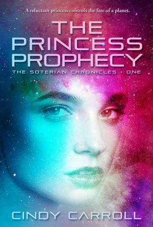Book cover of The Princess Prophecy