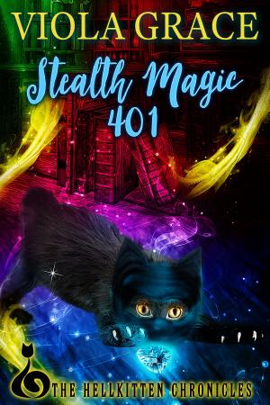 Book cover of Stealth Magic 401