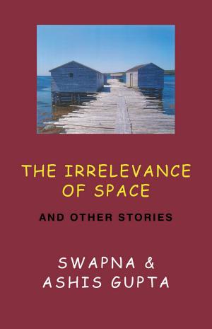 bigCover of the book The Irrelevance of Space and Other Stories by 