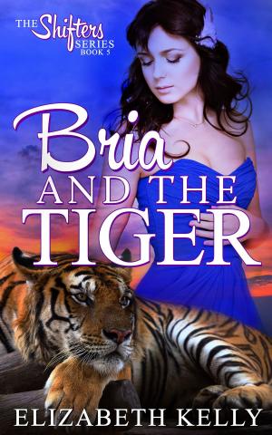 Cover of Bria and the Tiger (Book Five)