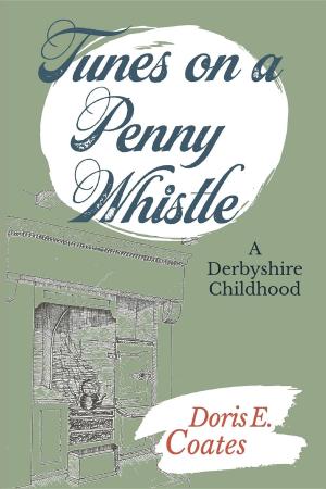 Book cover of Tunes on a Penny Whistle