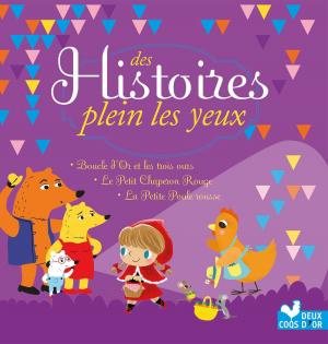 Cover of Des Histoires plein les yeux