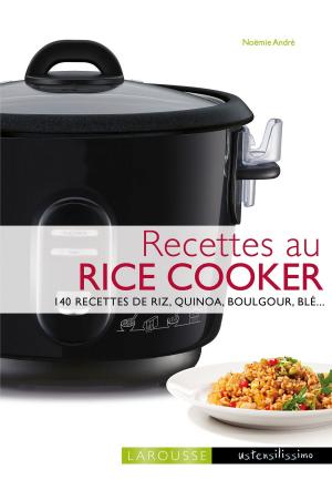 Cover of the book Recettes au rice cooker by Collectif