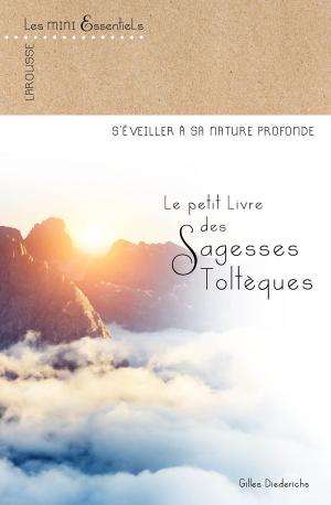 Cover of the book Le petit livre des sagesses toltèques by Anthony Strano