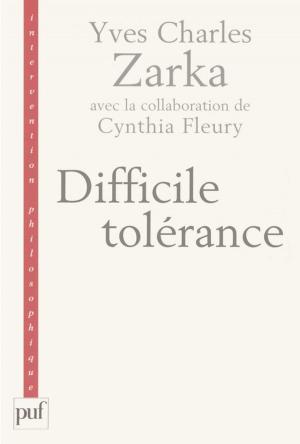 Cover of the book Difficile tolérance by Jean Lojkine