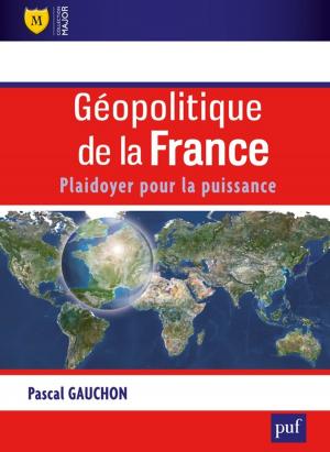 Book cover of Géopolitique de la France