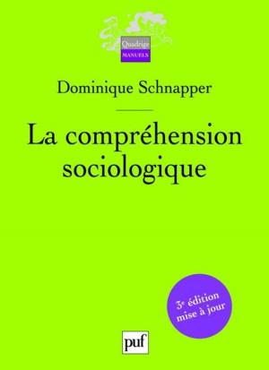 Book cover of La compréhension sociologique