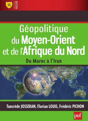 Book cover of Géopolitique du Moyen-Orient et de l'Afrique du Nord