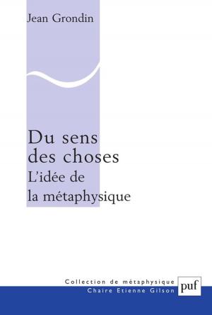 Book cover of Du sens des choses. L'idée de la métaphysique