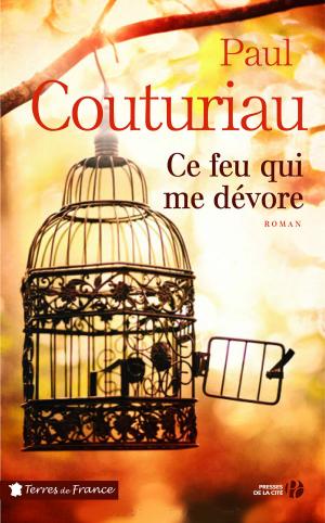 Cover of the book Ce feu qui me dévore by Françoise BOURDIN