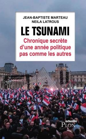 Cover of the book Le tsunami by Bernard SIMONAY