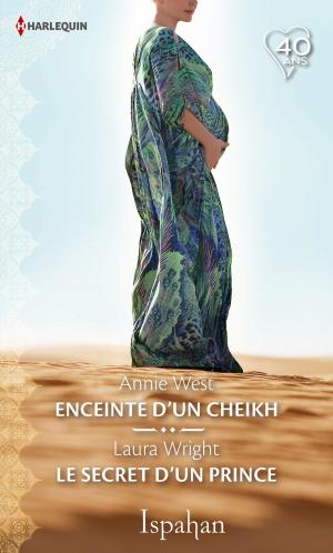 Book cover of Enceinte d'un cheikh - Le secret d'un prince