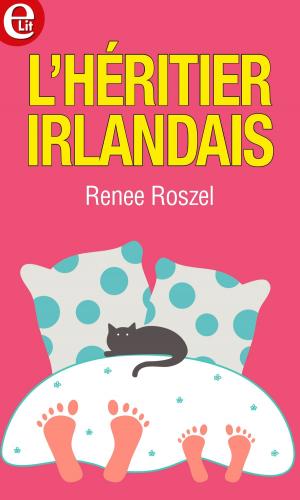 Cover of the book L'héritier irlandais by Bella Frances