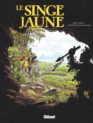 Book cover of Le Singe jaune