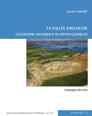 Cover of the book La vallée engloutie (Volume 2 : catalogue des sites) by Julien Aliquot
