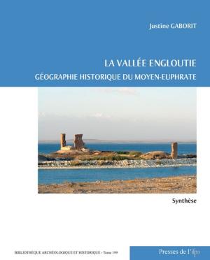 Cover of the book La vallée engloutie (volume 1 : synthèse) by André Raymond