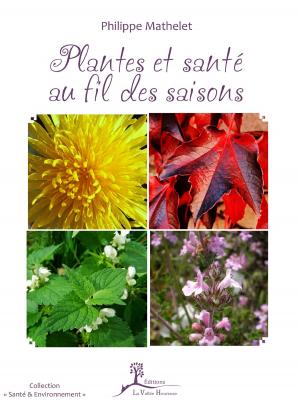 Cover of the book Plantes et santé au fil des saisons by Andrea Saba