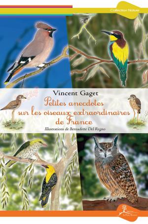 Cover of the book Petites anecdotes sur les oiseaux extraordinaires de France by Charly Samson, Philippe Marlin