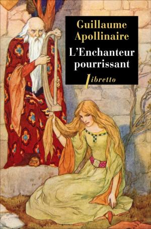 Cover of the book L'enchanteur pourrissant by William Dalrymple