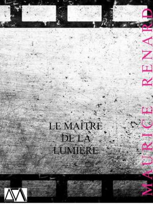 Cover of the book Le Maître de la lumière by Etienne de la Boètie