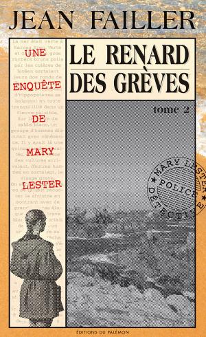 Cover of the book Le renard des grèves by Kathy Cranston